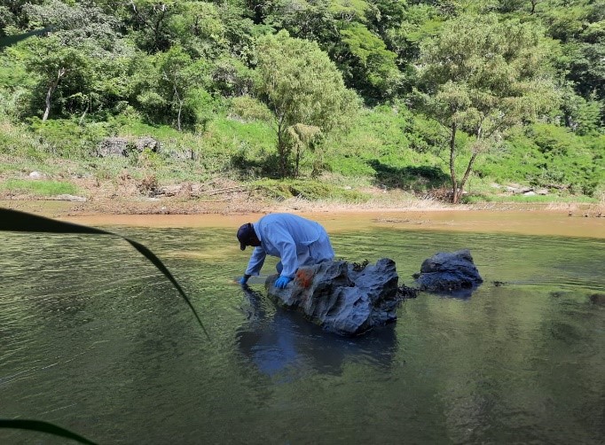 Semahn Da Seguimiento Al Monitoreo Del Agua En La Reserva De La