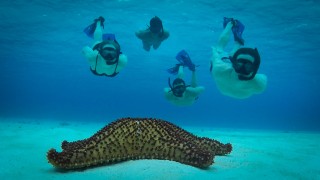 Private_Tours_Cancun_Riviera_Maya_Tulum_Undiscovered_Mexico.jpg