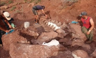 Hallan en Argentina fósil de Titanosaurio; el más antiguo encontrado