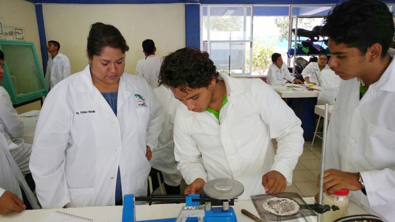 Oferta CECyTE Chiapas Carrera de Técnico en Laboratorio Clínico | Rotativo  en Linea